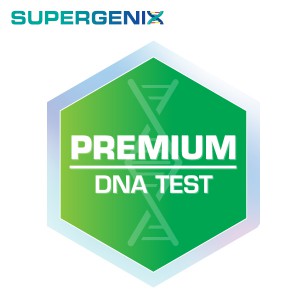 Premium Profile (700+ tests)